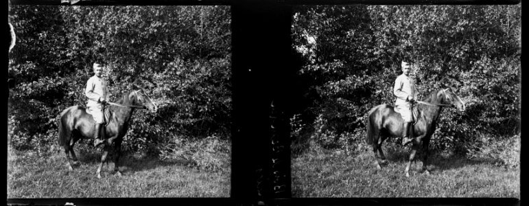 Bois de Beaulieu. Calas - Fonds Berthelé - 49Fi940