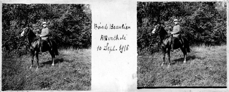Bois de Beaulieu. R. Berthelé. 10 septembre 1916 - Fonds Berthelé - 49Fi116