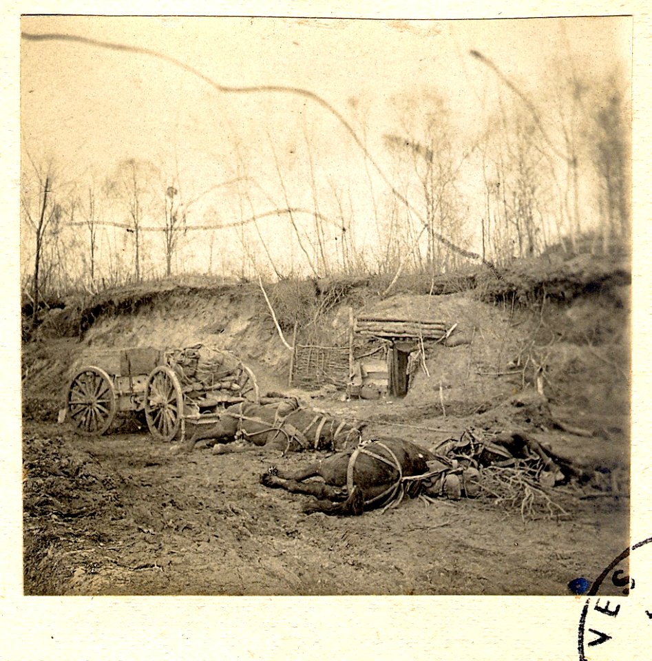 Bois de Beaumarais - Fonds Berthelé - 49Fi1878-91