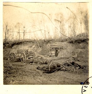 Bois de Beaumarais - Fonds Berthelé - 49Fi1878-91