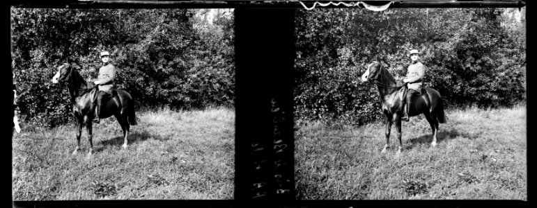 Bois de Beaulieu. RB - Fonds Berthelé - 49Fi943