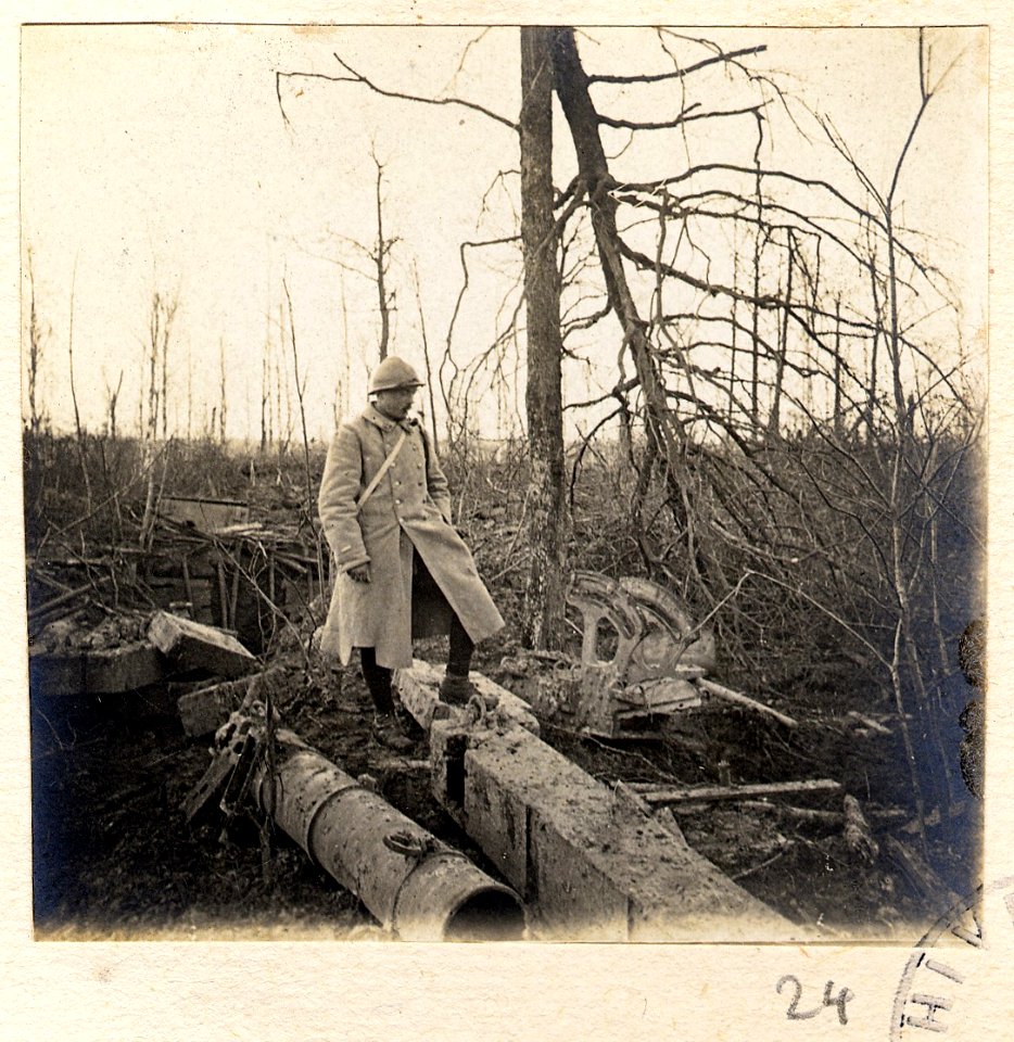 Bois de Beaumarais - Fonds Berthelé - 49Fi1879-24
