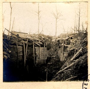 Bois de Beaumarais - Fonds Berthelé - 49Fi1878-90