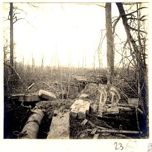 Bois de Beaumarais - Fonds Berthelé - 49Fi1879-23