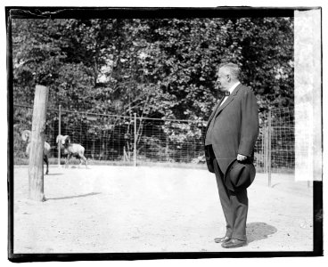 Boise Pemrose (i.e., Boies Penrose) at Zoo LCCN2016819669