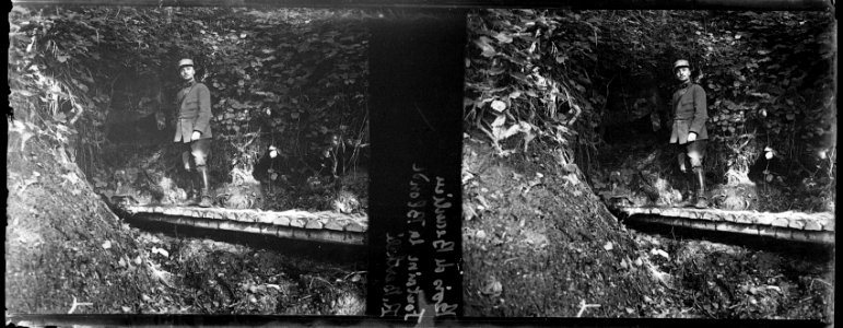Bois de Beaulieu. R. Berthelé. Fontaine la Blonde - Fonds Berthelé - 49Fi471