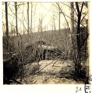 Bois de Beaumarais - Fonds Berthelé - 49Fi1879-21