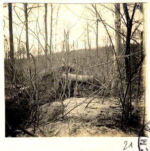 Bois de Beaumarais - Fonds Berthelé - 49Fi1879-21 photo