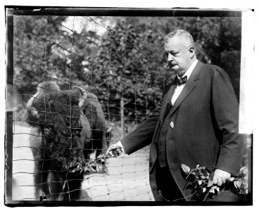 Boise Pemrose (i.e., Boies Penrose) at Zoo LCCN2016819670