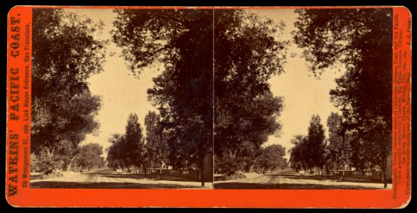 Carleton Watkins (American - (Tree-lined street view of San Gabriel, California) - Google Art Project