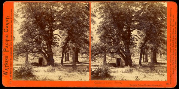 Carleton Watkins (American - Cabin in Camp Grove, Yosemite Valley, Mariposa County, Cal. - Google Art Project