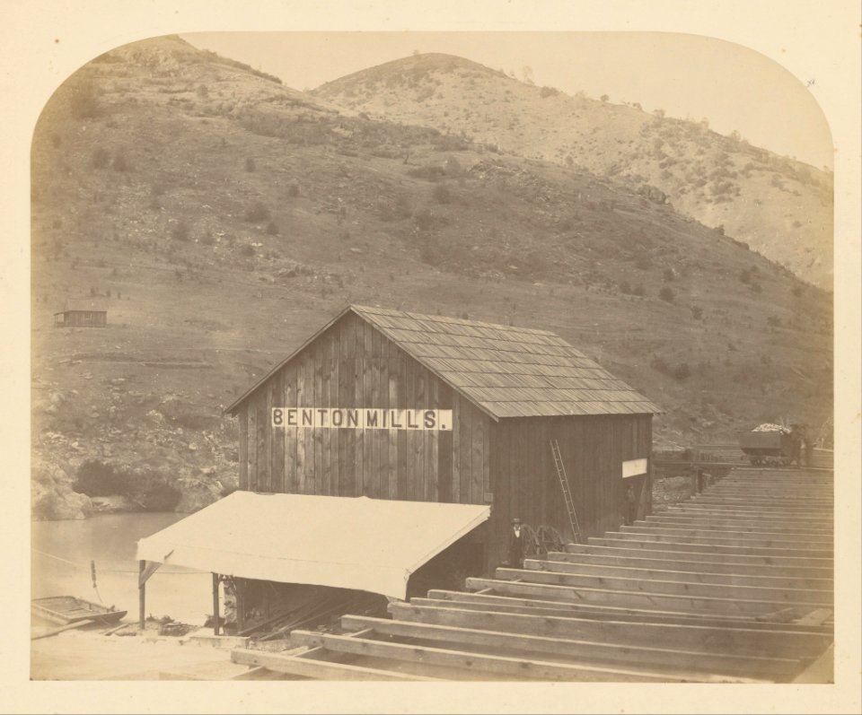Carleton Watkins (American - (Benton Mills) - Google Art Project