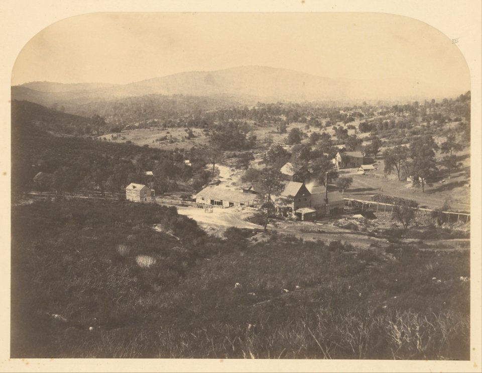 Carleton Watkins (American - (Mt. Ophir - North) - Google Art Project