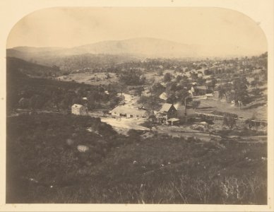 Carleton Watkins (American - (Mt. Ophir - North) - Google Art Project