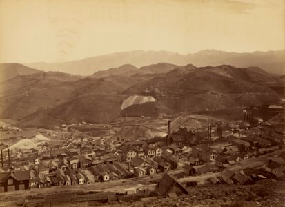 Carleton Watkins (American - (The Combination Shaft, from the Water Flume) - Google Art Project