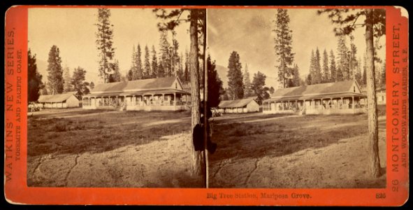 Carleton Watkins (American - Big Tree Station, Mariposa Grove. - Google Art Project photo
