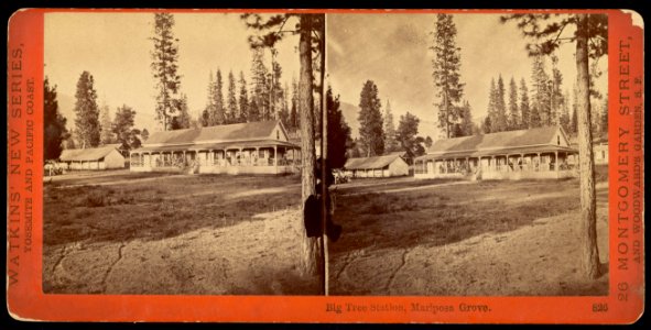 Carleton Watkins (American - Big Tree Station, Mariposa Grove. - Google Art Project