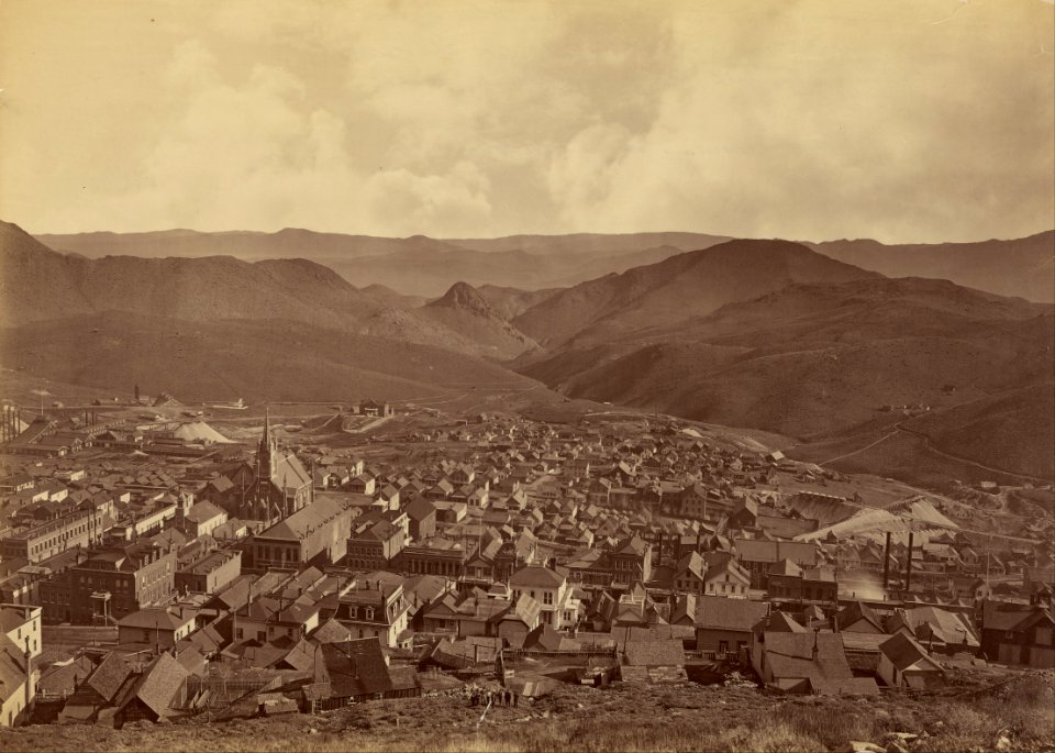 Carleton Watkins (American - (Virginia City, Nevada) - Google Art Project