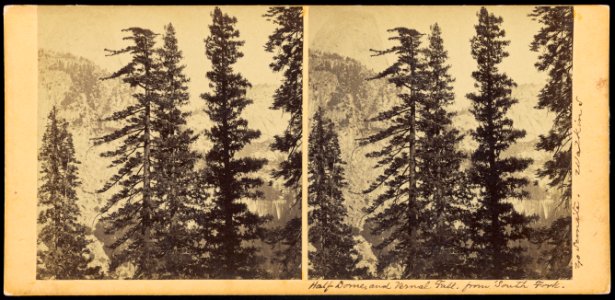Carleton Watkins (American - Half Dome and Vernal Fall, from South Fork - Google Art Project