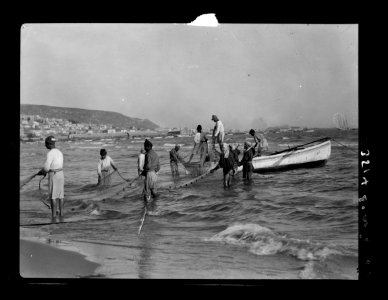 Carmel and Haifa. Fisherman hauling in drag-net. Haifa Bay and Carmel LOC matpc.15376