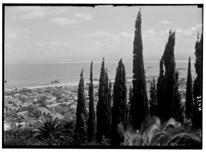 Carmel and Haifa. Haifa and the bay from lower Carmel LOC matpc.02816