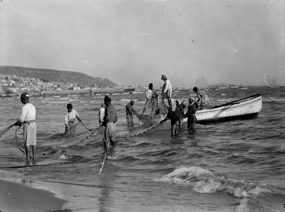 Carmel and Haifa. Fisherman hauling in drag-net. Haifa Bay and Carmel LOC matpc.15376