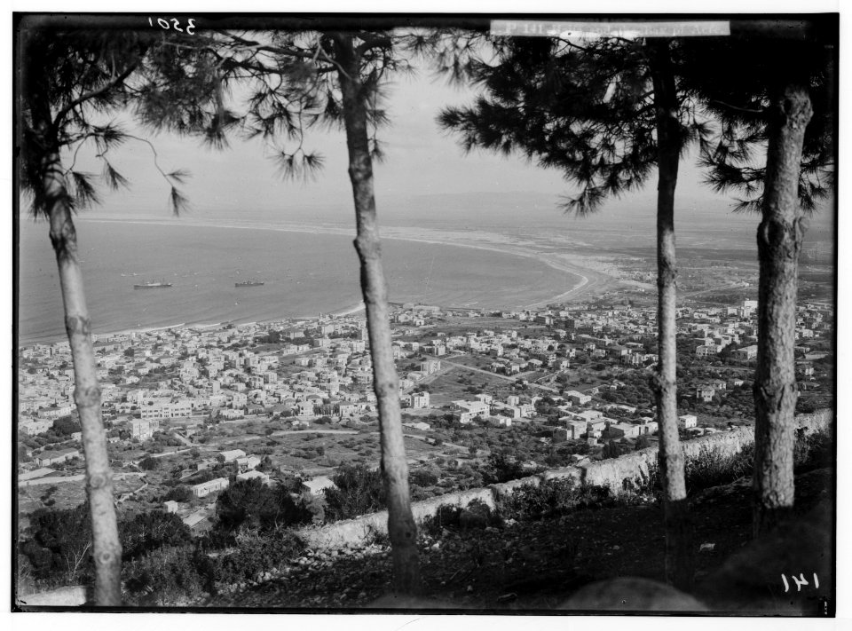 Carmel and Haifa. Haifa and the bay from top of Carmel LOC matpc.02814