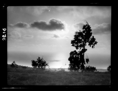 Carmel and Haifa. Sunset from Carmel. Picturesque view with clouds and reflections LOC matpc.15382