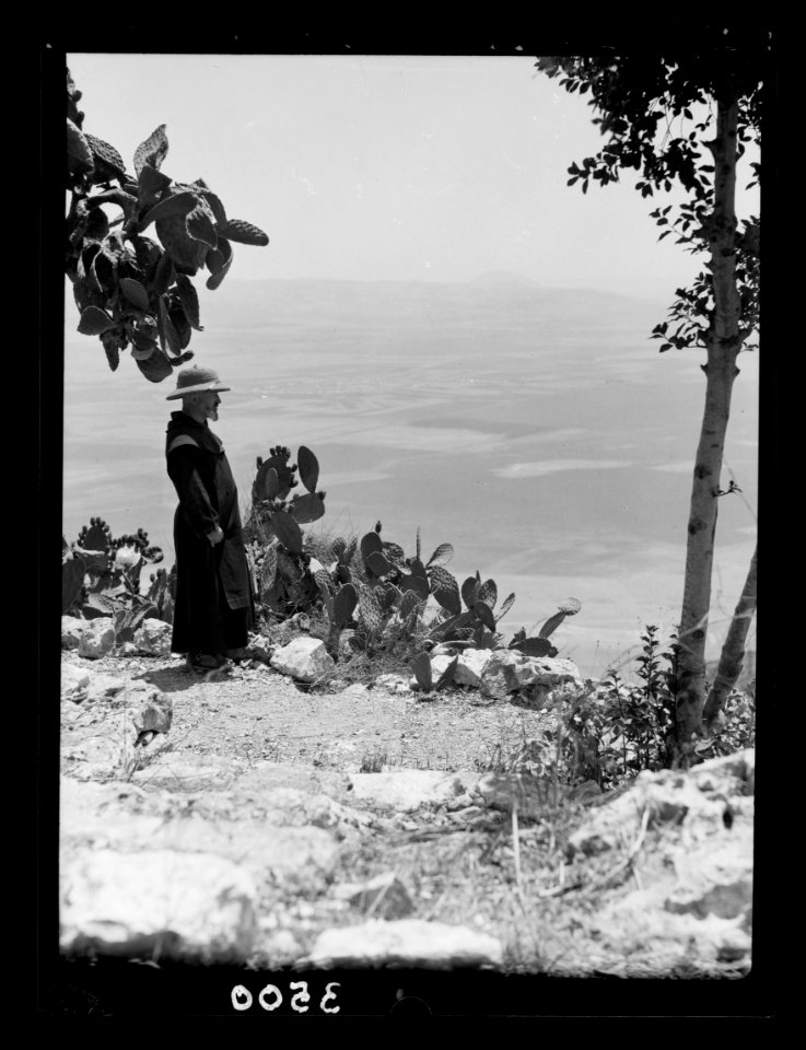 Carmel and Haifa. Esdraelon from Carmel showing Tabor on horizon LOC matpc.15371