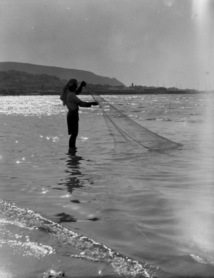Carmel and Haifa. Fisherman casting net. Haifa Bay. Carmel in background LOC matpc.15375