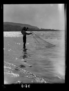 Carmel and Haifa. Fisherman casting net. Haifa Bay. Carmel in background LOC matpc.15375