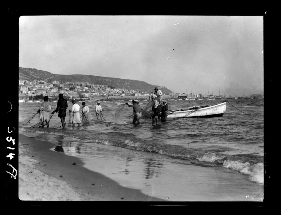 Carmel and Haifa. Fisherman hauling in drag-net. Haifa Bay and Carmel LOC matpc.15377