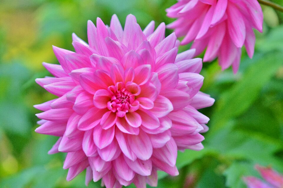 Floral summer natural