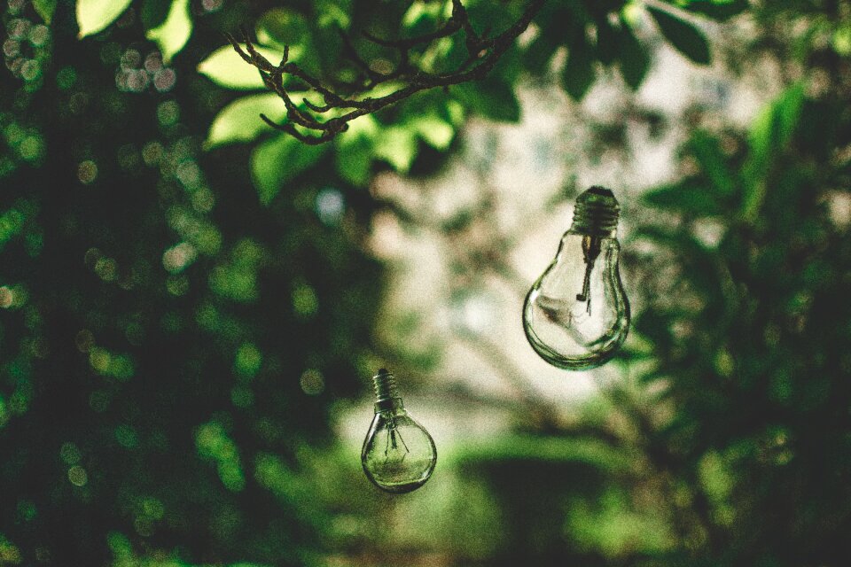 Green environment ideas