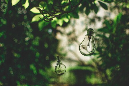 Green environment ideas