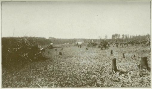 Caron - La région de l'Abitibi, terres à coloniser, etc, 1919 (page 19 crop)