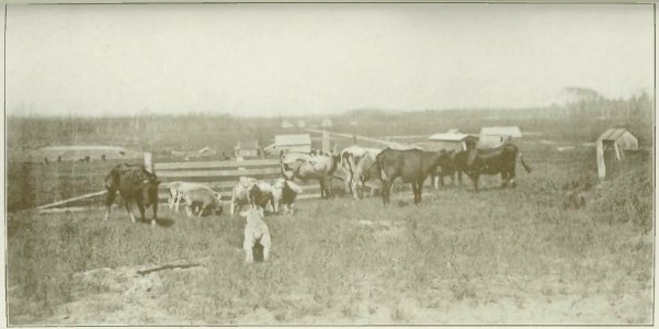 Caron - La région de l'Abitibi, terres à coloniser, etc, 1919 (page 47 crop)