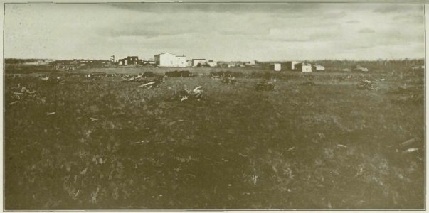Caron - La région de l'Abitibi, terres à coloniser, etc, 1919 (page 24 crop)