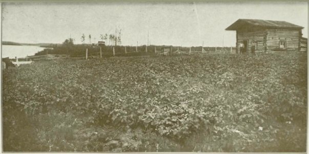Caron - La région de l'Abitibi, terres à coloniser, etc, 1919 (page 67 crop)