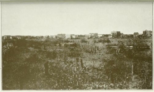 Caron - La région de l'Abitibi, terres à coloniser, etc, 1919 (page 52 crop)