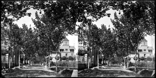 Carrer amb arbres i cases a banda i banda a Sant Julià de Vilatorta