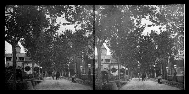 Carrer arbrat amb un carro