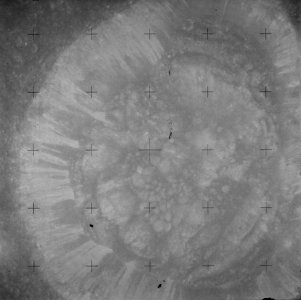 Carrel crater AS15-81-10998