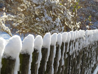 Nature cold garden fence