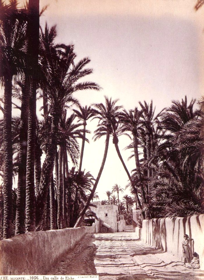 Carrer d'Elx, 1870, Laurent