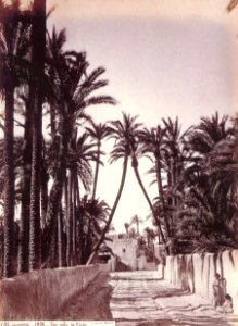 Carrer d'Elx, 1870, Laurent