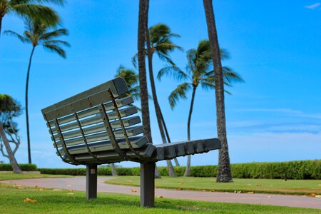 Palm sky resort