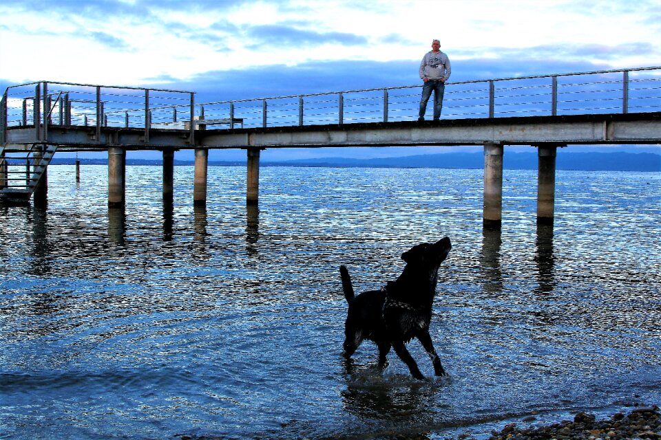 Spacer a friend of man lake