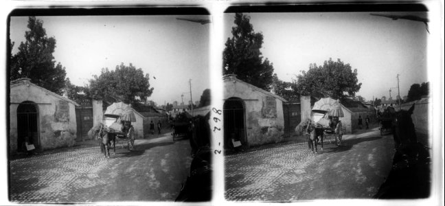 Carro del vi a Frascati , El