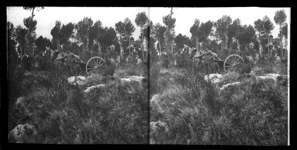 Carro tirat per cavalls i gent en un bosc del Garraf